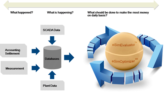 eSimulation